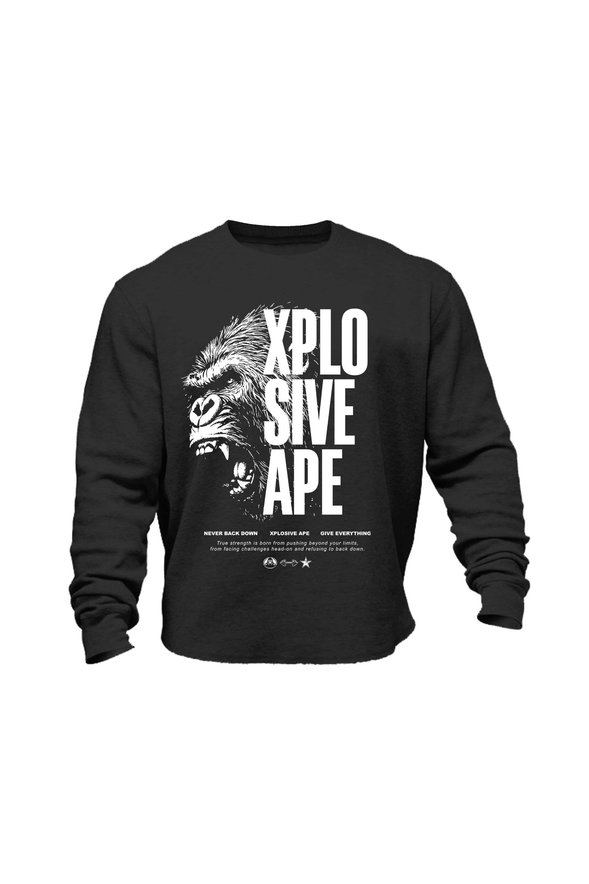 XAPE Vanguard V2 Sweatshirt - Black