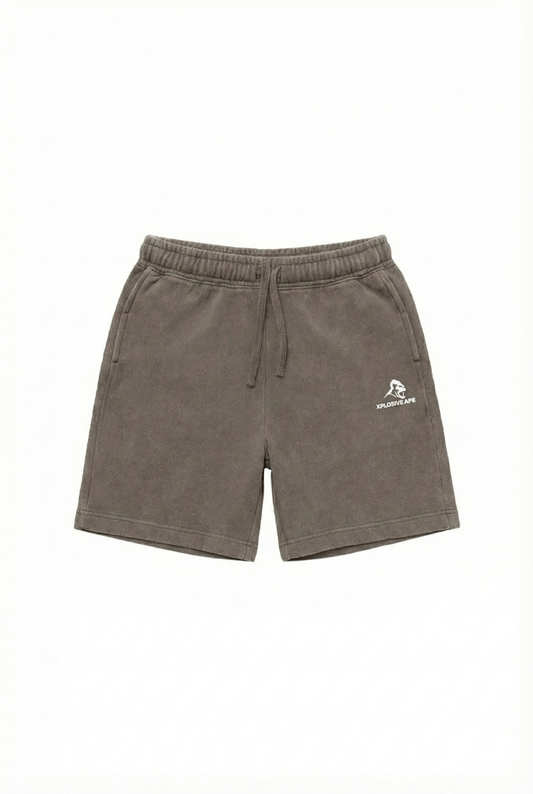 XAPE Vintage Wash Shorts - Brown